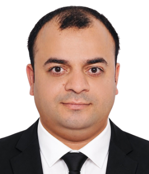 Mr. Mahmoud Adel, FCPA